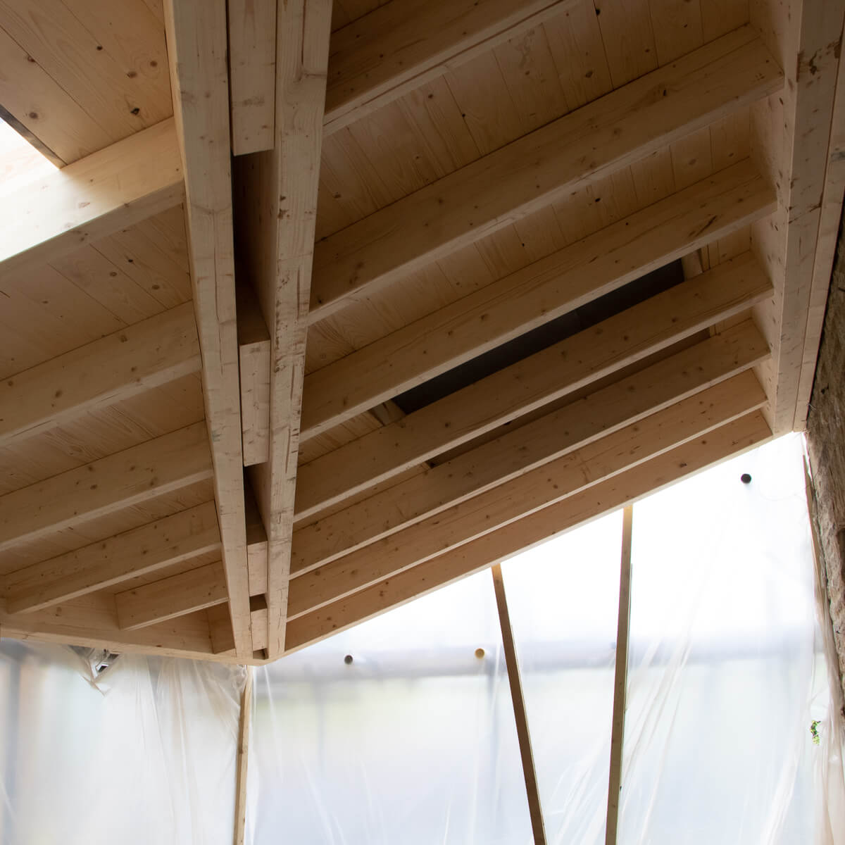 Orangery Roof - Detail 2