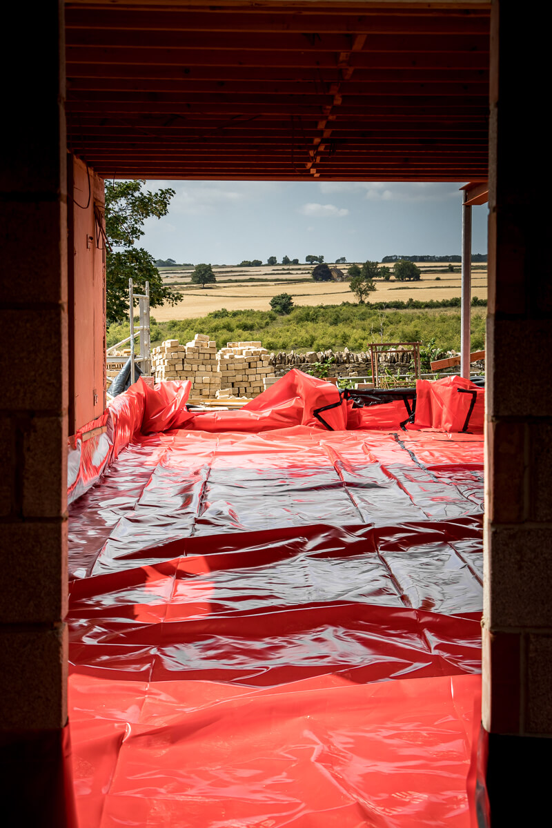 Shepard's-Gaze project